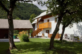 Гостиница Apartments Markež, Бохиньска Быстрица